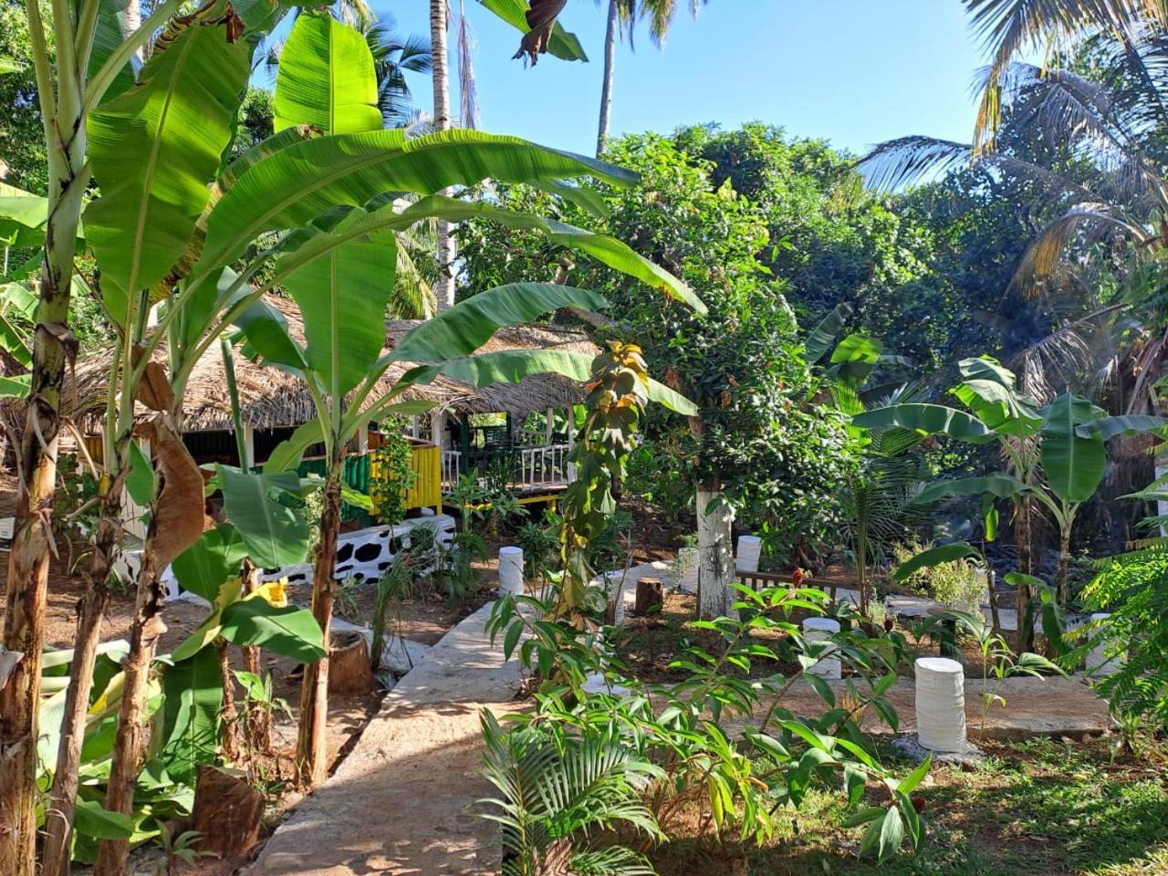 Hotel Le Chissioua Sada Exterior foto